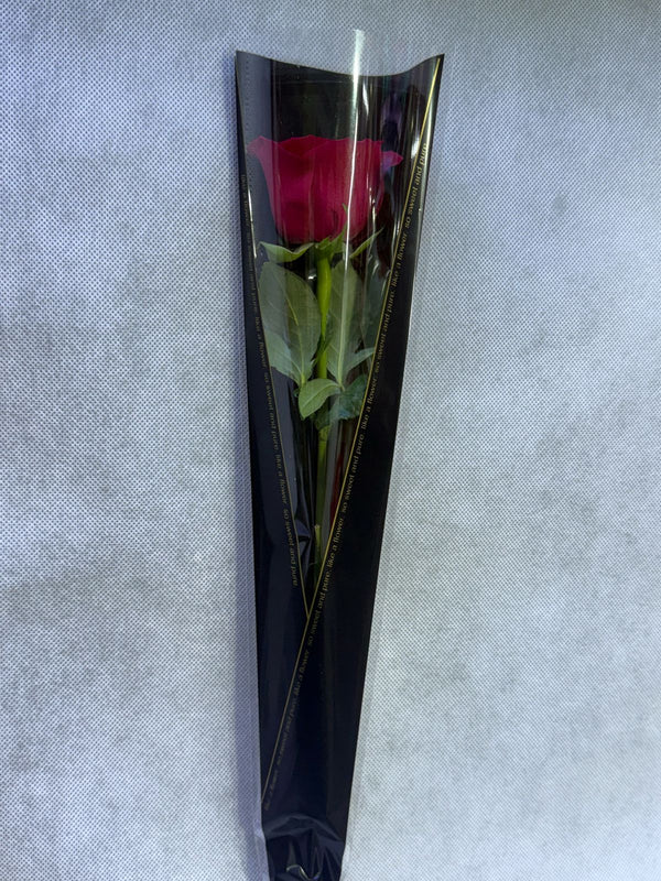 Single Red Rose In Black Wrapping