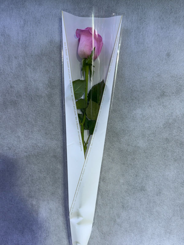 Single Pink Rose In White Wrapping