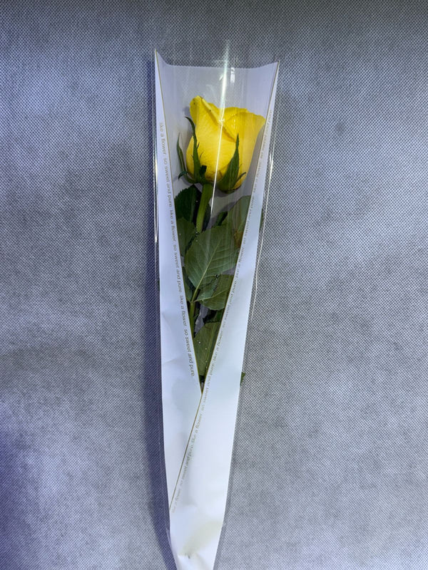 Single Yellow Rose In White Wrapping