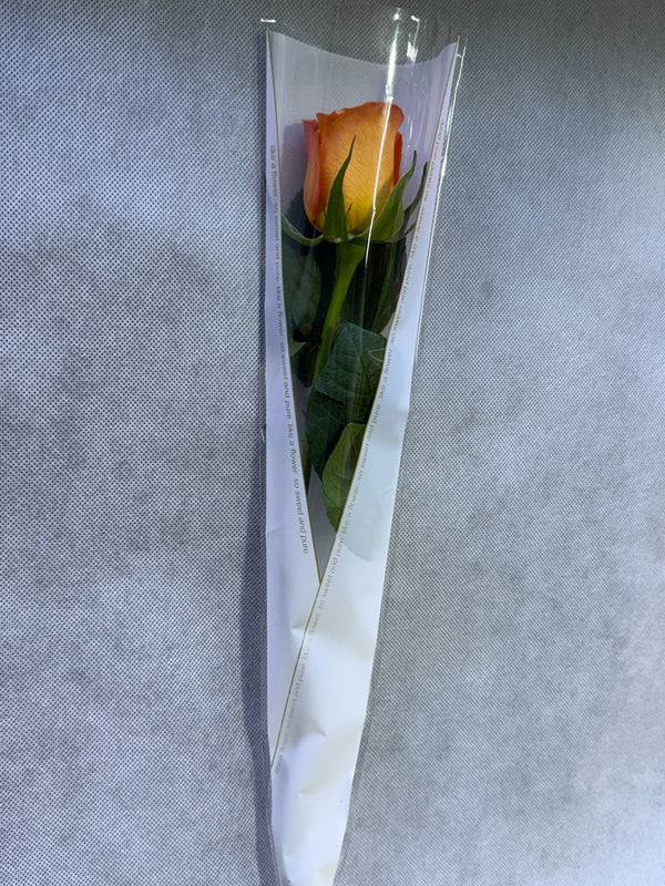 Single Orange Rose In White Wrapping