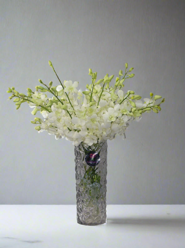 White Orchids In Crystal Vase