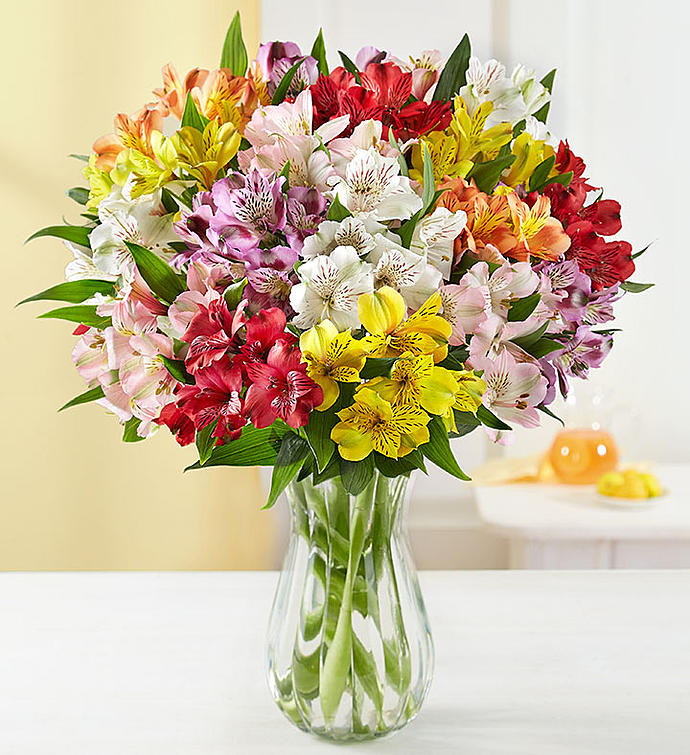 Mix-Of-Alstromerias-In-Vase