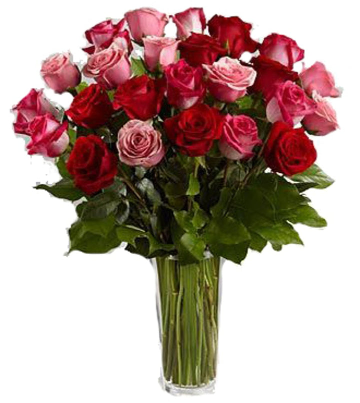 Red and Pink Roses In Vase