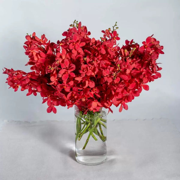 Red Orchids in Vase