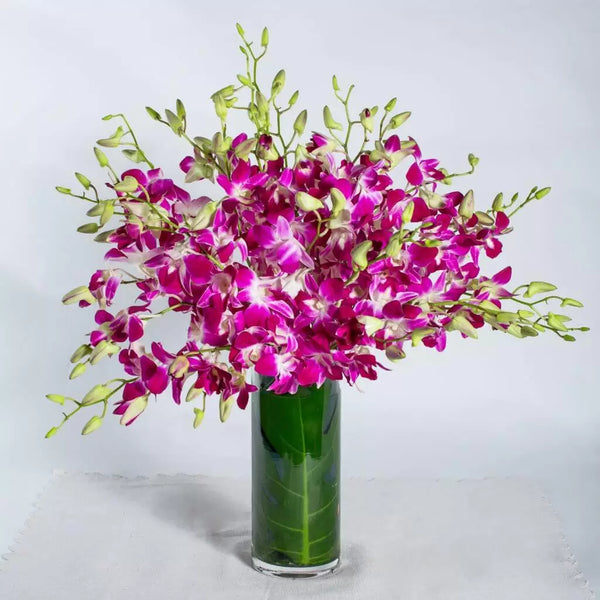 Purple Orchids In Vase