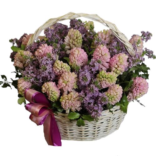 Hyacinthus Arrangement