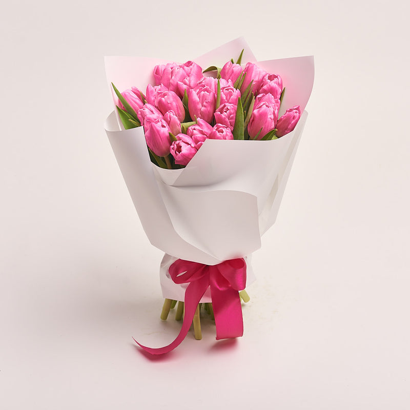 24 Dark Pink Tulips