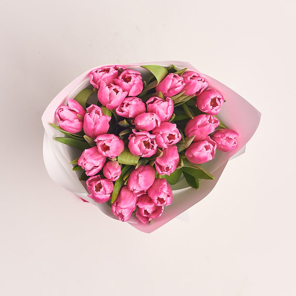 24 Dark Pink Tulips