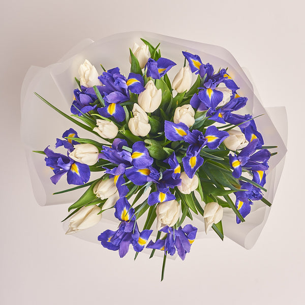 15 White Tulip And Iris