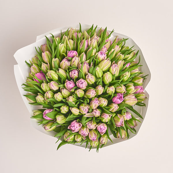 101 Pink Tulip Bouquet