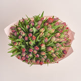 101 Red Tulip Bouquet