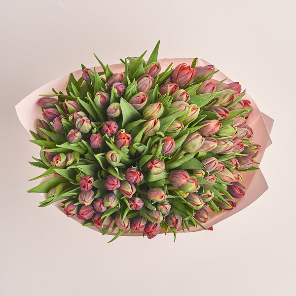 101 Red Tulip Bouquet